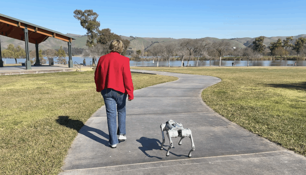 robot dog companion